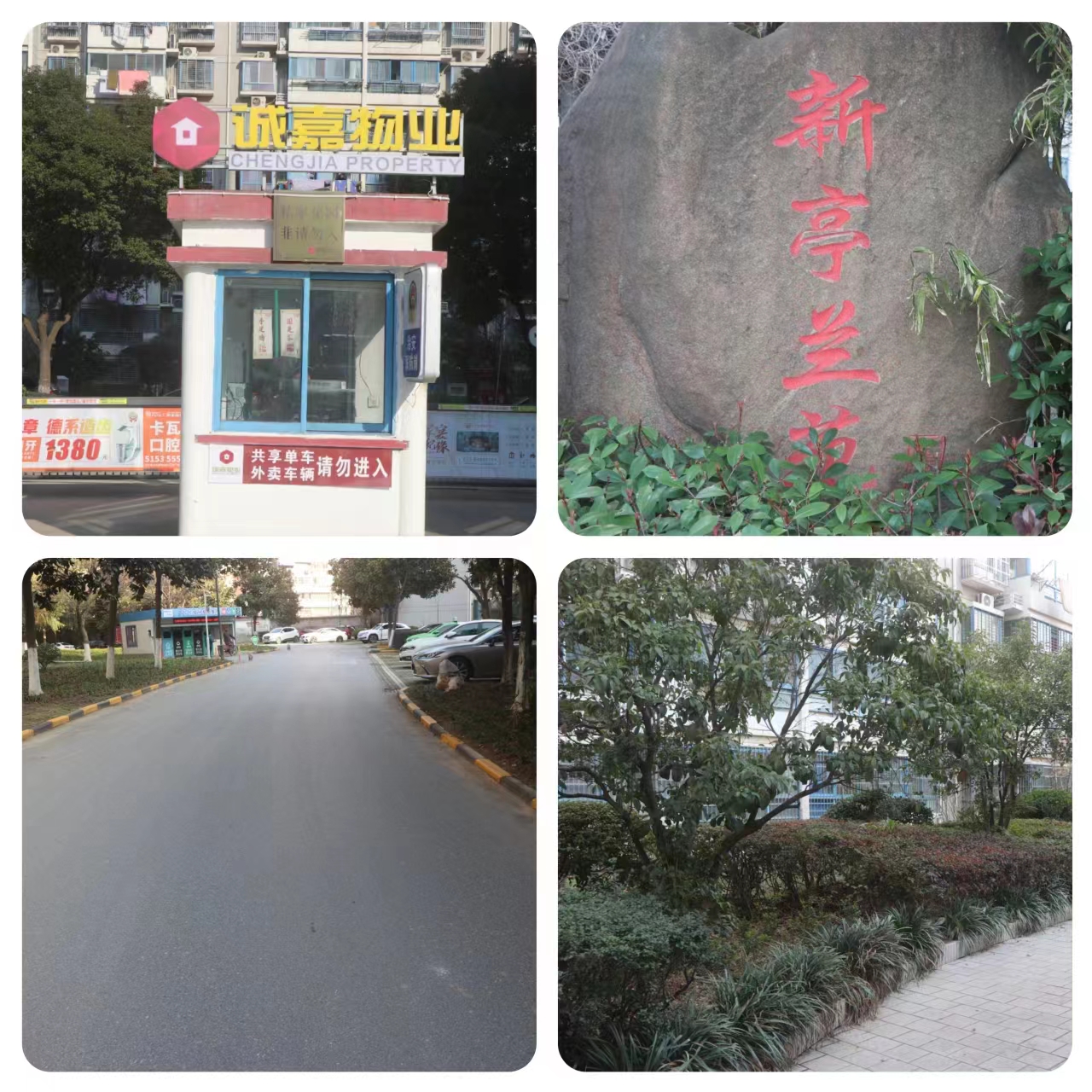 新亭兰苑_888集团