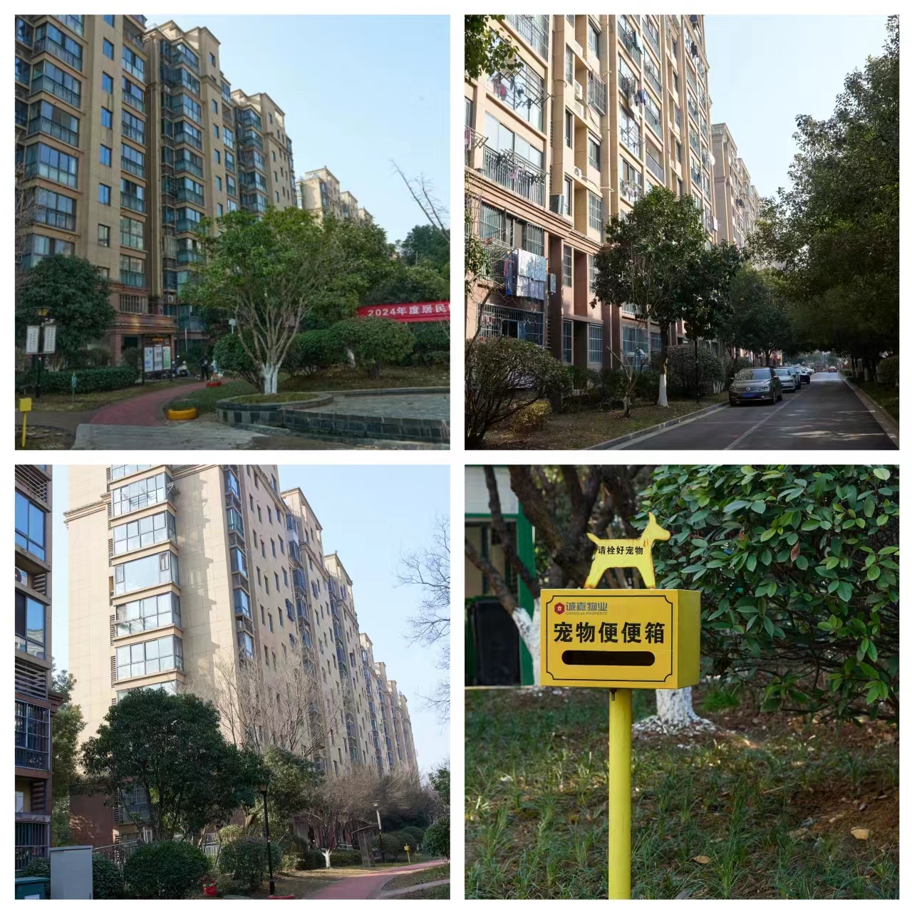 润龙锦园_888集团